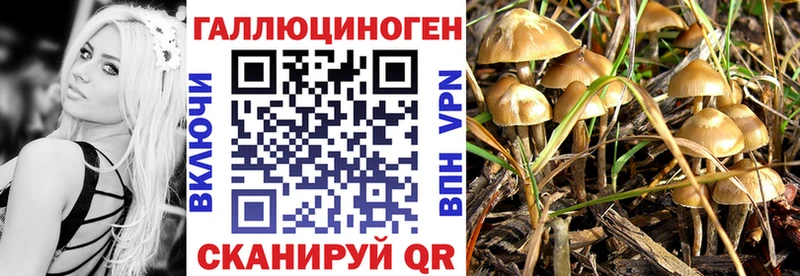 Галлюциногенные грибы Magic Shrooms  как найти закладки  kraken   Пласт 