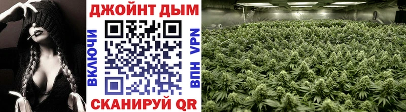 Шишки марихуана White Widow  блэк спрут зеркало  Пласт  купить наркотик 